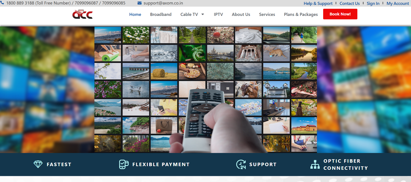 Axom WordPress website